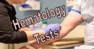 Hematology2