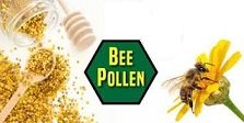 Bee pollen2